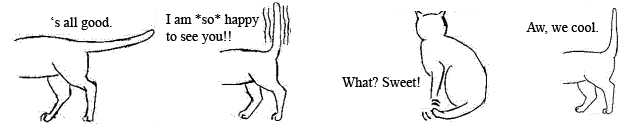 Diagrams of cat tails when the cat is happy Diagrams of cat tails when the cat is happy